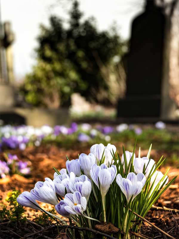 exhumation-services-sanctuary-memorial-park